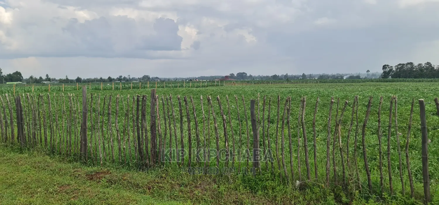 Prime 1 Acre Land for Sale in Kimumu Marura in Eldoret
