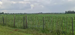 Prime 1 Acre Land for Sale in Kimumu Marura in Eldoret