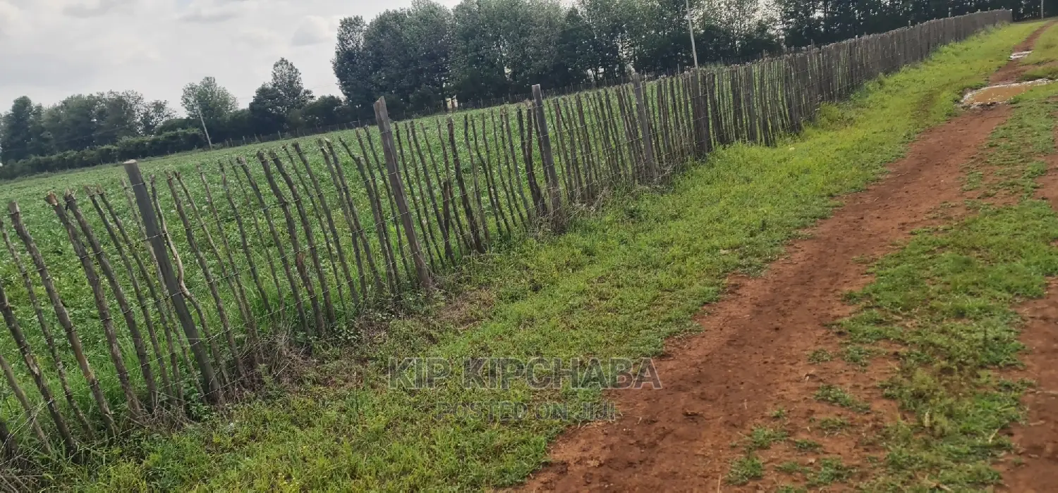 Prime 1 Acre Land for Sale in Kimumu Marura in Eldoret