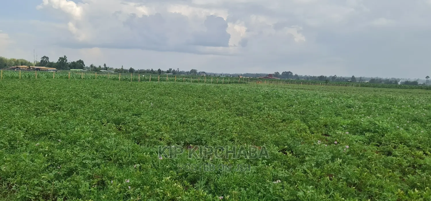Prime 1 Acre Land for Sale in Kimumu Marura in Eldoret