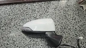 Side Mirrors Axio New Model
