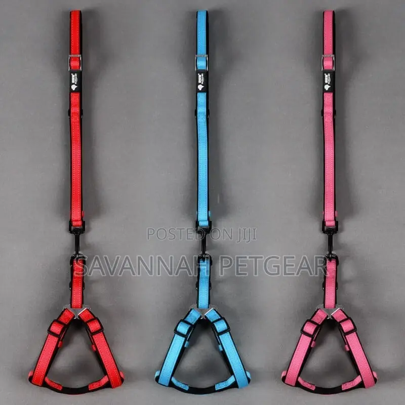 Classic Reflective Back Clip Dog Harness Dog Leash