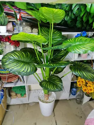2m Plant+ Plastic Vase+Pebble Stones
