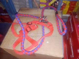 Durable Dog Leash - thumbnail 2