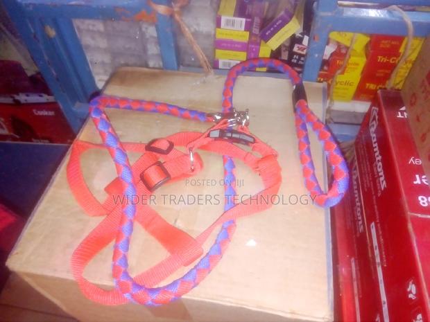 Durable Dog Leash - thumbnail 3