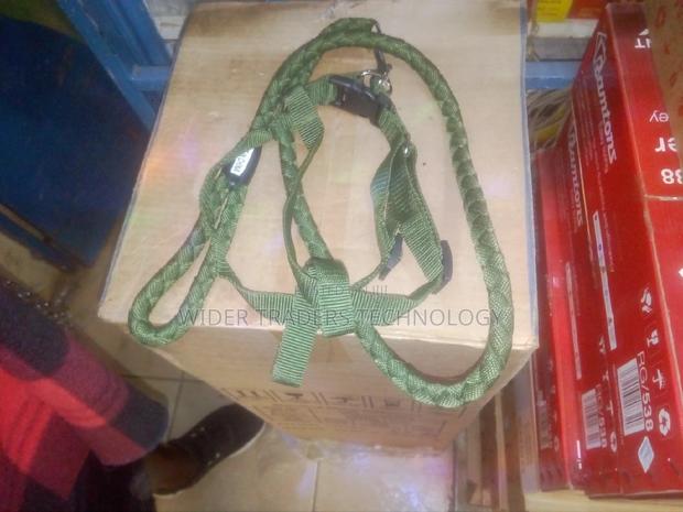 Rogz Dog Leash - main view