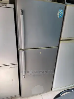 Double Door Samsung Fridge 400L