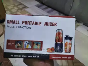 Small Portable Juicer