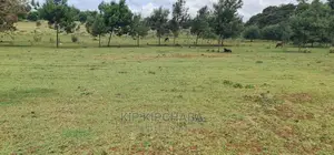 35 Acres Prime Land for Sale in Marura After Kimumu Eldoret