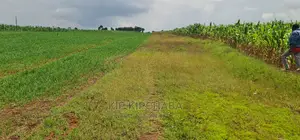 35 Acres Prime Land for Sale in Marura After Kimumu Eldoret