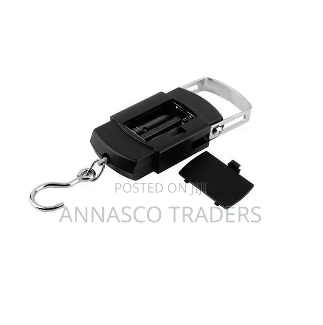 WH-A08L 50kg X 10g Capacity Mini Digital Luggage Scale Hand