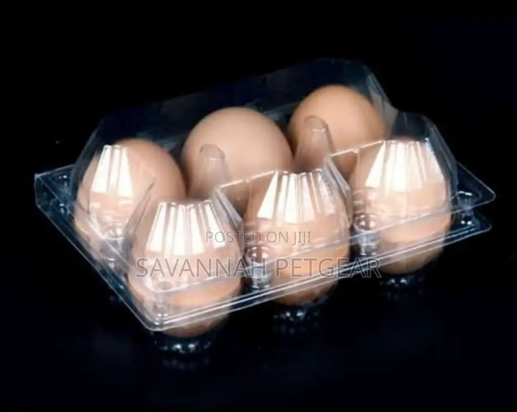Disposable Transparent Plastic Egg Box 6 Eggs and 15eggs