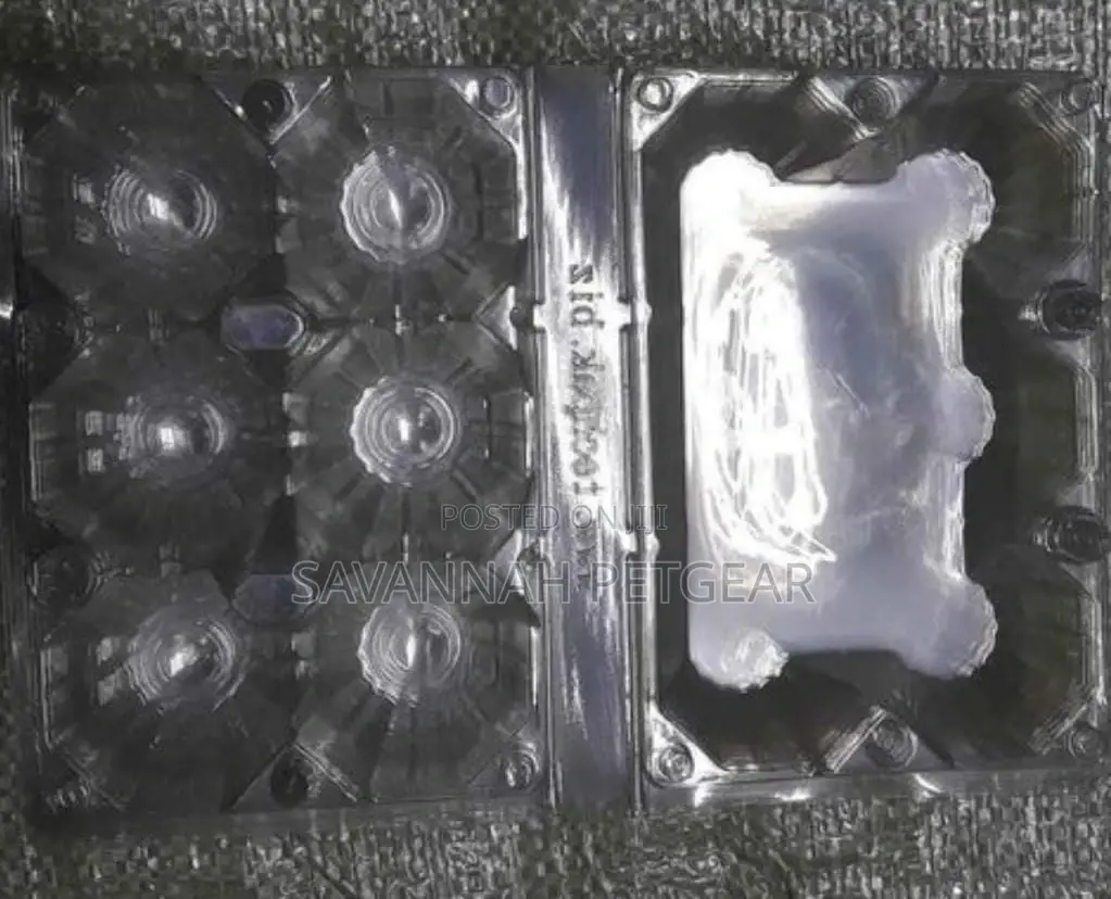 Disposable Transparent Plastic Egg Box 6 Eggs and 15eggs