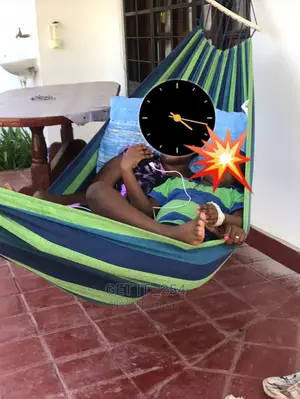 Hammock With Cushions