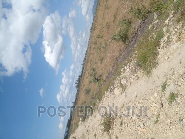 Koma at ^ Jm - thumbnail 3