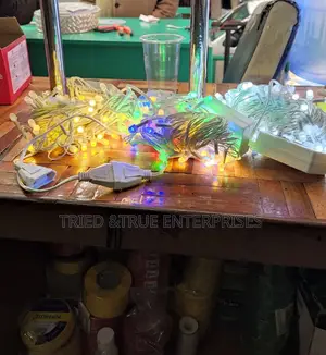 Christmas Lights ( Big)