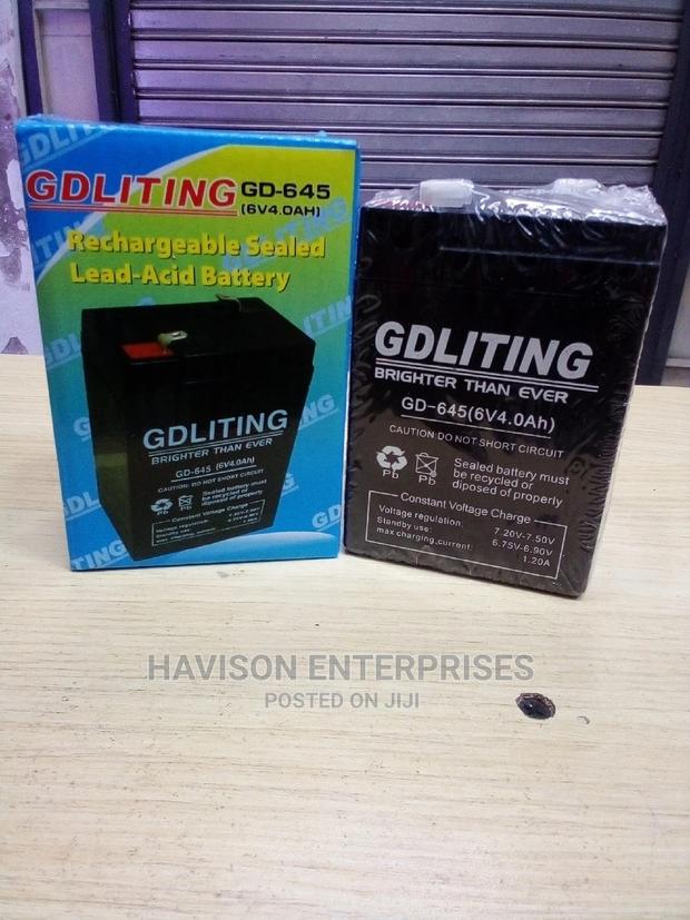 Gdliting 6v Battery - main view