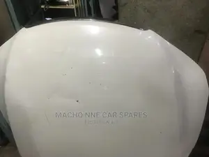 Toyota Mark X 2010 Bonnet