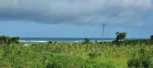 Kikambala,2.5 Acres,Second Row From the Ocean on Sale.
