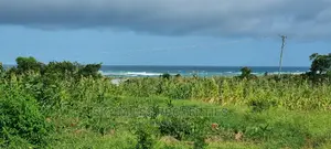 Kikambala,2.5 Acres,Second Row From the Ocean on Sale.