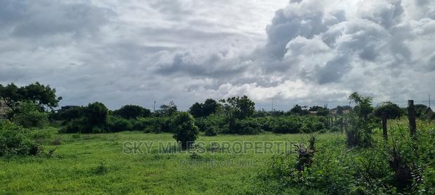 Kikambala,2.5 Acres,Second Row From the Ocean on Sale. - thumbnail 15