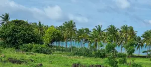Sandy Beach,20 Acres on Sell at Kikambala