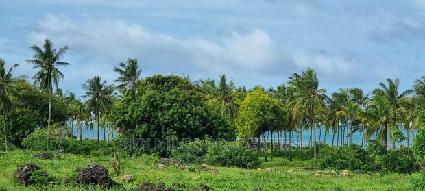 Sandy Beach,20 Acres on Sell at Kikambala - thumbnail 6