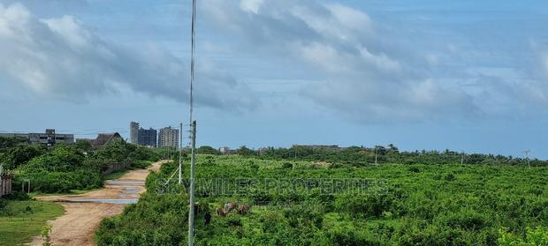 Sandy Beach,20 Acres on Sell at Kikambala - thumbnail 12