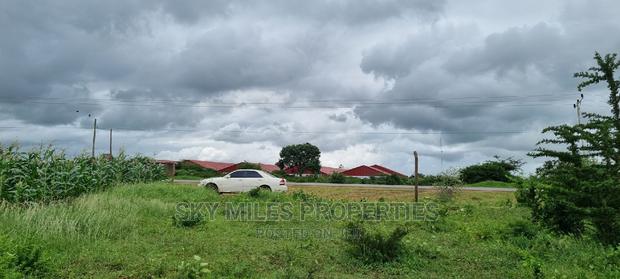 Pots On Sale At Mavueni - main view