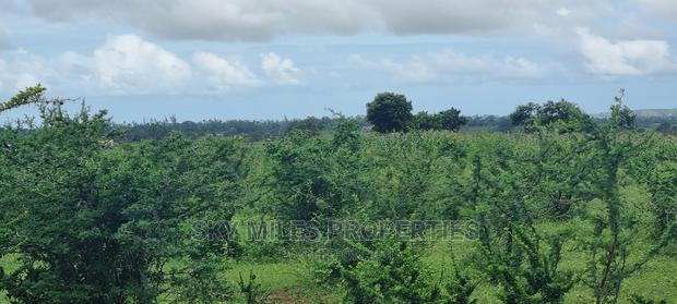 Pots On Sale At Mavueni - thumbnail 10