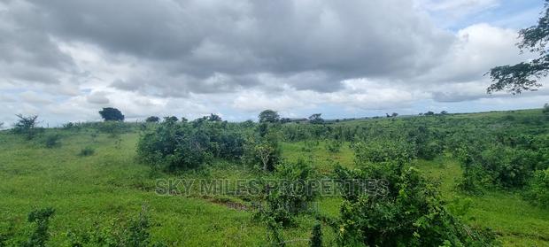 Pots On Sale At Mavueni - thumbnail 12