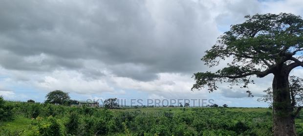 Pots On Sale At Mavueni - thumbnail 15