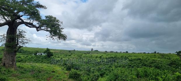 Pots On Sale At Mavueni - thumbnail 16