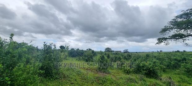 Pots On Sale At Mavueni - thumbnail 17