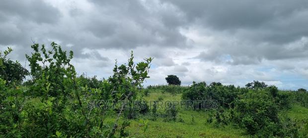 Pots On Sale At Mavueni - thumbnail 18