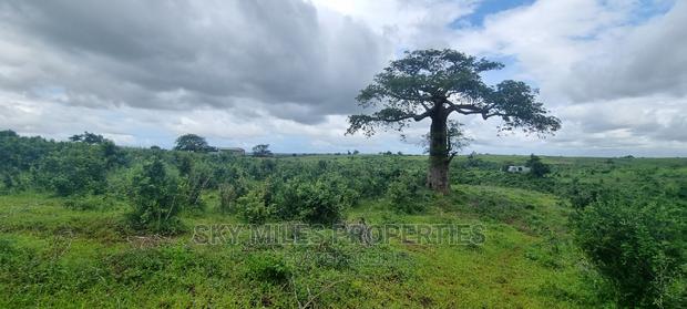 Pots On Sale At Mavueni - thumbnail 19