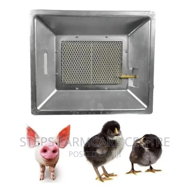 Gas Brooder Chick Warmers - main view