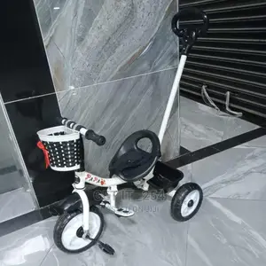 Unisex Push Tricycle