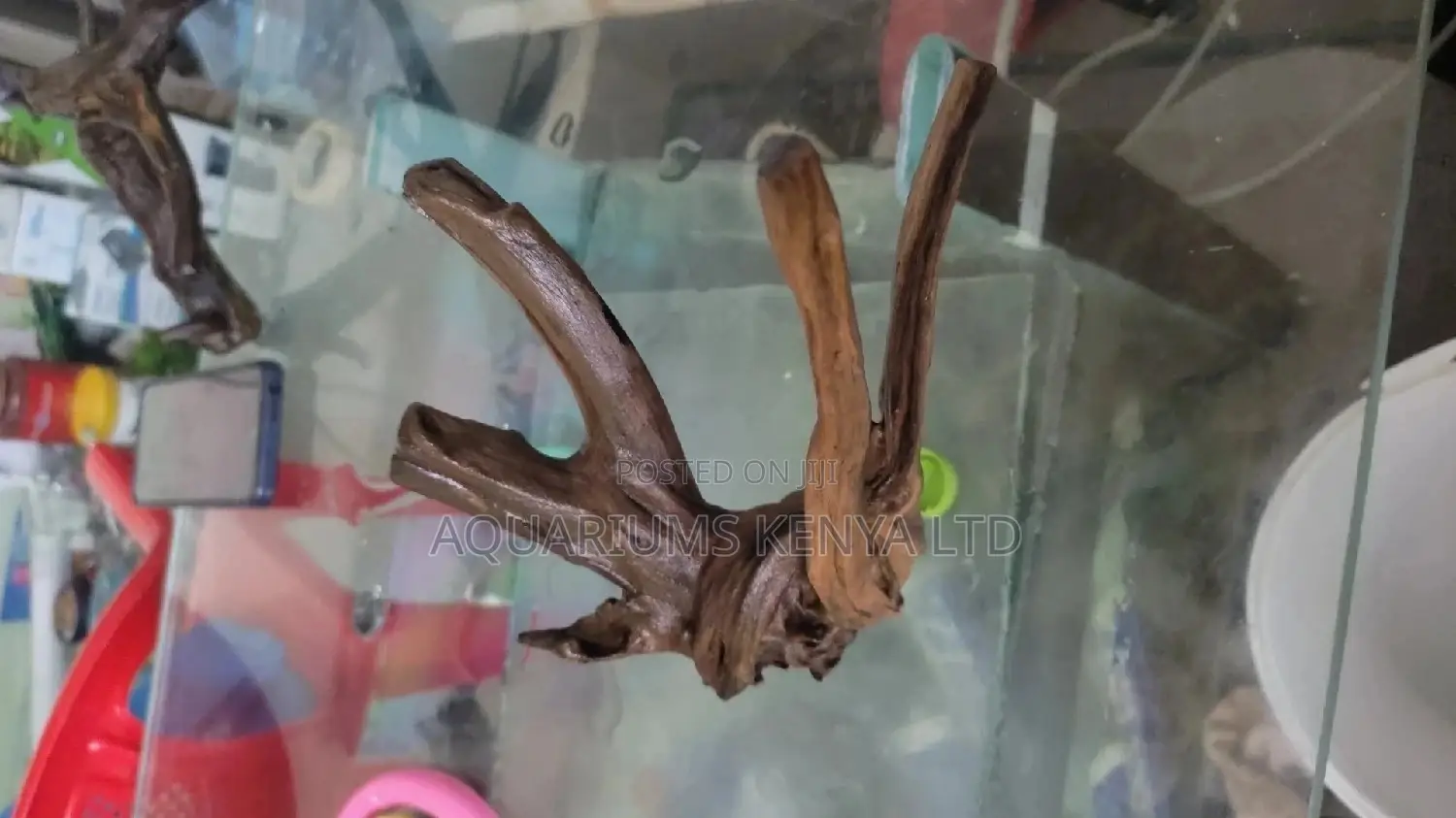 Drift Woods for Aquariums.
