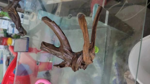 Drift Woods for Aquariums. - main view