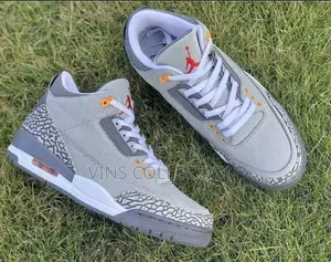 Jordan 3 Sneakers
