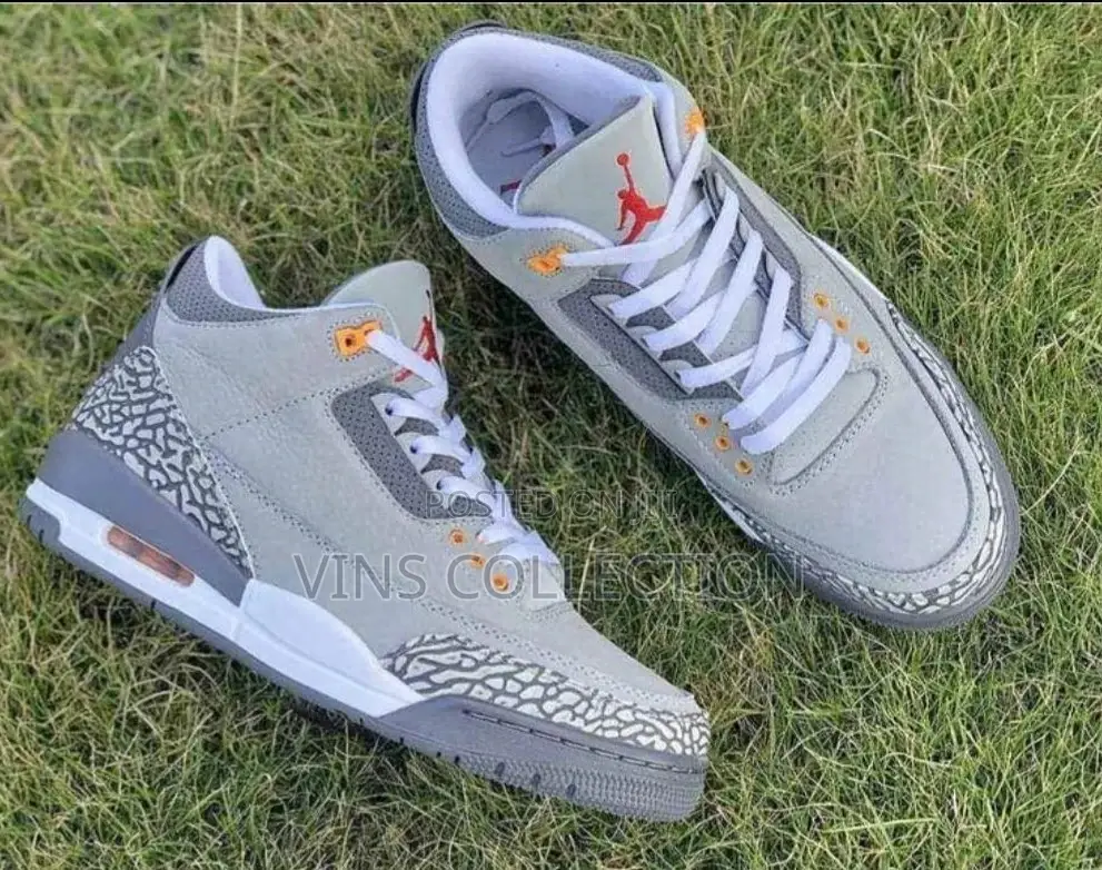 Jordan 3 Sneakers