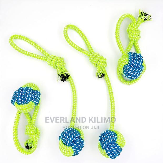 Tug Dog Rope Toys - main view