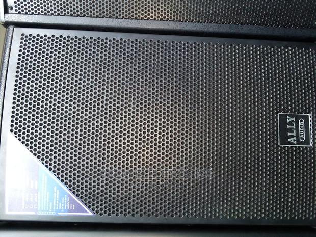 Speaker 12inch- Ally Audio