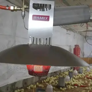 Damly Gas Chick Warmers