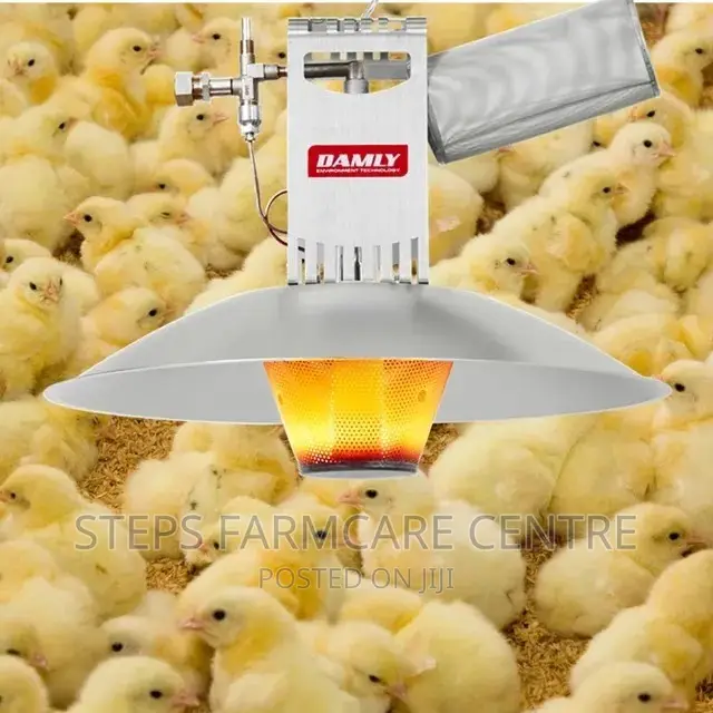 Damly Gas Chick Warmers