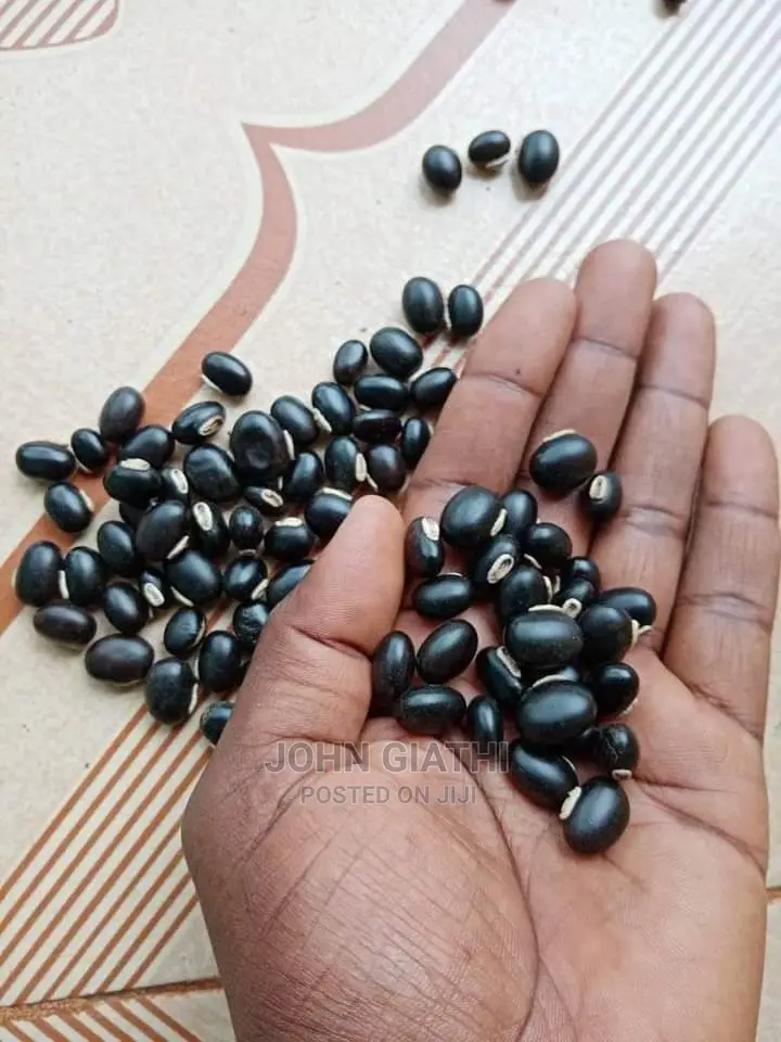 Mucuna Pruiens/ Velvet Beans