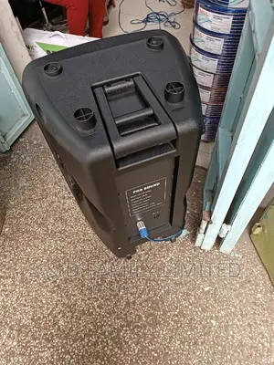 1500 Watts Plastic Speaker