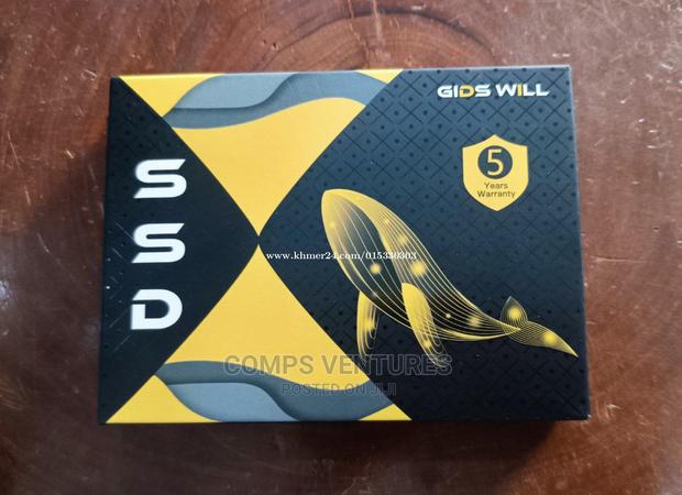 Solid State Disk (Ssd)