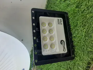 Light 30watts Security